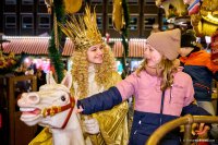 Bild zur Veranstaltung