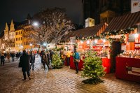 Bild zur Veranstaltung