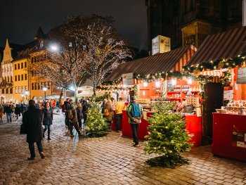 Bild zur Veranstaltung