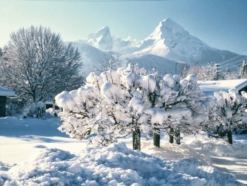 Foto: Karin Günther
Bild zur Veranstaltung