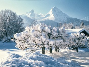 Bild zur Veranstaltung