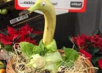 Bild zur Veranstaltung