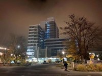 Öffentliche Sitzung des Stadtrats