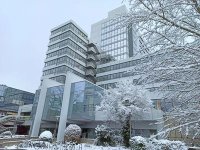 Öffentliche Sitzung des Stadtrats