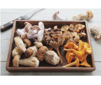 Bild zur Veranstaltung