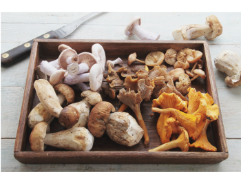 Bild zur Veranstaltung