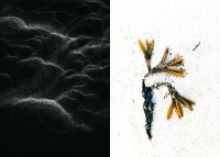 Bild zur Veranstaltung