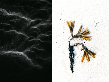 Bild zur Veranstaltung