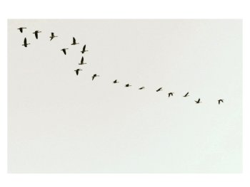 Copyright: Barbara Vogel Bild zur Veranstaltung