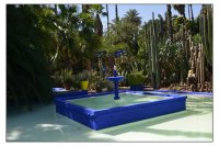 Ein blauer, rechteckiger Brunnen mit blauer Fontäne in einem Palmengarten