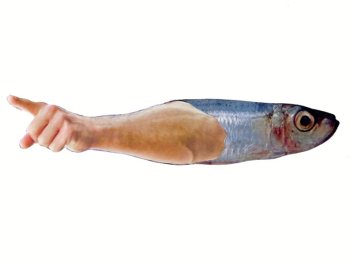 Copyright: Holger Becker Bild zur Veranstaltung