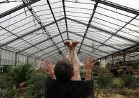 Bild zur Veranstaltung