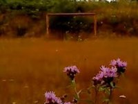 Szenenbild aus dem Film DRY LEAF