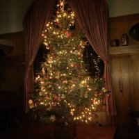 geschmückter Weihnachtsbaum vor Fenster mit rotem Vorhang zur Seite gebunden