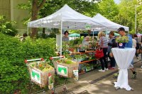 Gartenstand Grüne Art