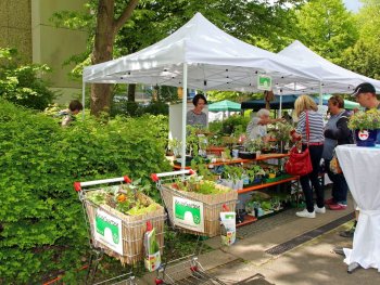 Gartenstand Grüne Art