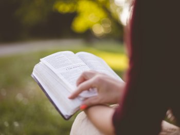 Bild zur Veranstaltung