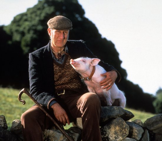 Copyright: Filmverleih