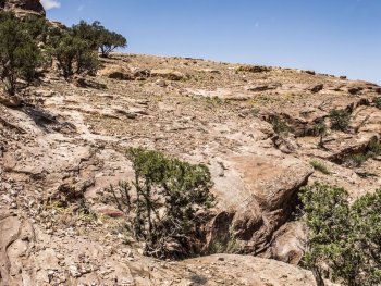 Bild zur Veranstaltung