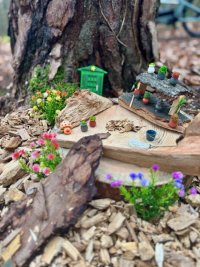 Bild zur Veranstaltung