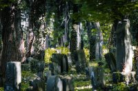 Stadtführung "Wovon die Steine zeugen"