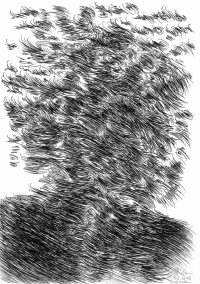 Bild zur Veranstaltung