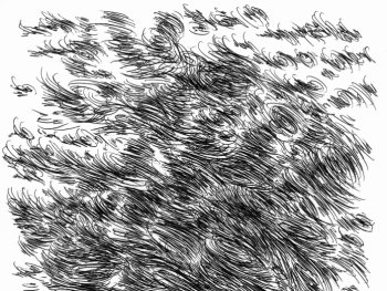 Bild zur Veranstaltung