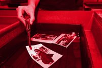 Das Bild zeigt eine Wanne in der ein frisch entwickeltes schwarz-weiß Foto gewässert wird.