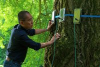 Szenenbild aus dem Film SILENT FRIEND