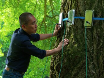 Copyright: Lenke Szilágyi; Pandora Film Szenenbild aus dem Film SILENT FRIEND