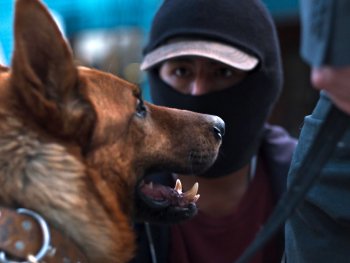 Copyright: Sergio Armstrong Szenenbild aus dem Film EL LADRÓN DE PERROS