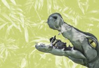 Der Billabongkönig (ein Krokodil) lässt sich von einem kleinen Vogel (einem Billabongwächter) die Zähne reinigen