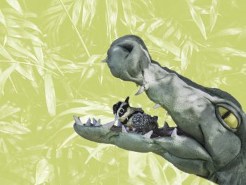 Der Billabongkönig (ein Krokodil) lässt sich von einem kleinen Vogel (einem Billabongwächter) die Zähne reinigen