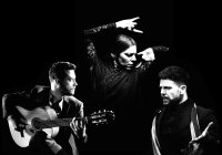 Art of Andalucia | FLAMENCO DANCE