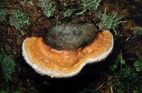 Bild zur Veranstaltung