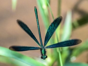 Bild zur Veranstaltung