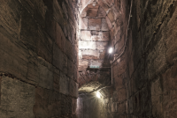 Bild zur Veranstaltung