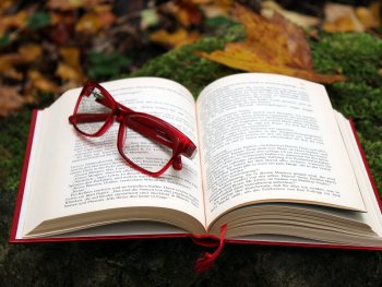 Foto: Pixaby
Ein Buch im Wald