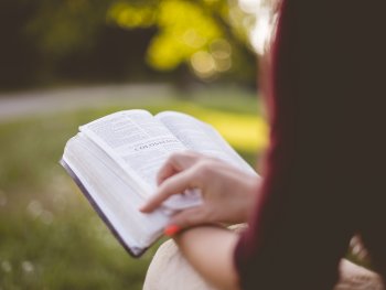 Eine Frau ließt in einem Buch