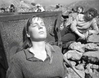 Szenenbild aus dem Film SONNENSUCHER