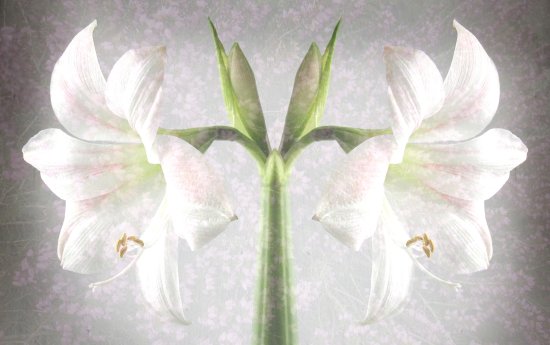 Foto: Karin Günther EFA