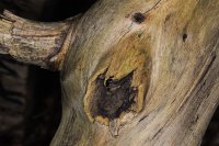 Bild zur Veranstaltung