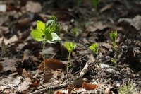 Bild zur Veranstaltung