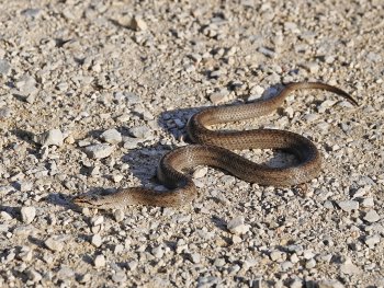 Bild zur Veranstaltung