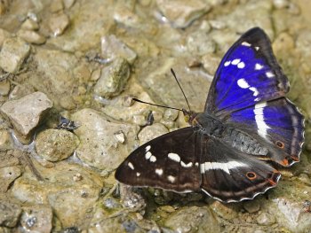 Foto: Dr Astrid Schirner
Bild zur Veranstaltung