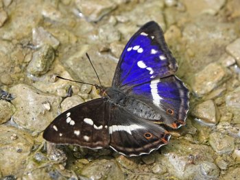 Bild zur Veranstaltung