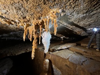 Bild zur Veranstaltung