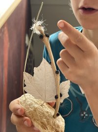 Kreativ mit der Natur – Harmlose Kunst
