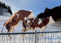 Bild zur Veranstaltung