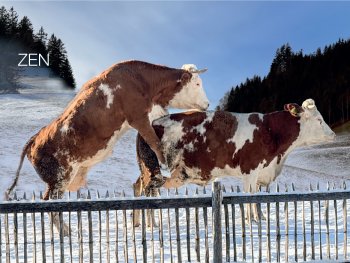 Copyright: Peter Dauphin genannt Muth Bild zur Veranstaltung